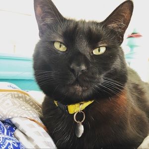 Meet your Posher, Emily